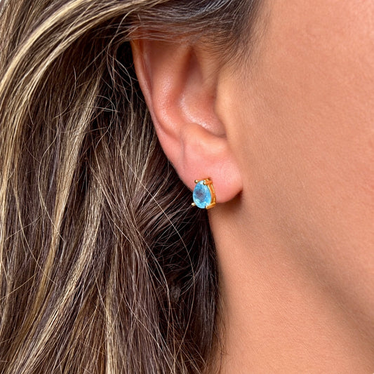 ZEN Crystal Earrings