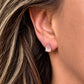 ZEN Crystal Earrings